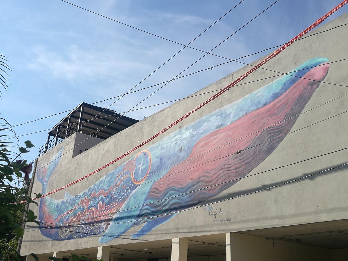 Casa De La Ballena (Adults Only) Sayulita Εξωτερικό φωτογραφία